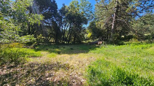 2.2 Acr. S Canyon Way, Colfax, CA, 95713 | Card Image