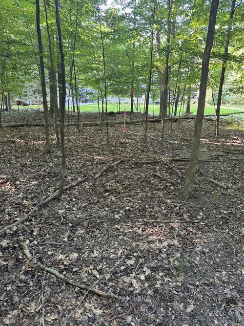 4 Arrowhead Ct, Mount Gilead, OH, 43338 | Card Image