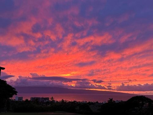 apt-2902-50 Puu Anoano St, Lahaina, HI, 96761-1964 | Card Image
