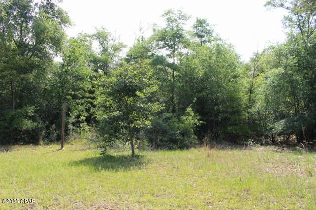5929 Nichols Rd, House other with 3 bedrooms, 2 bathrooms and null parking in Bascom FL | Image 18