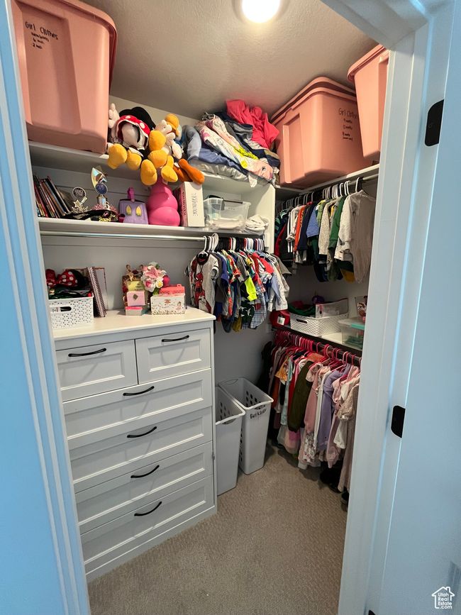Spacious closet featuring carpet floors | Image 25