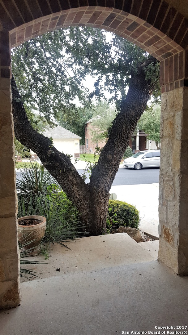 Residential Lease in San Antonio 3