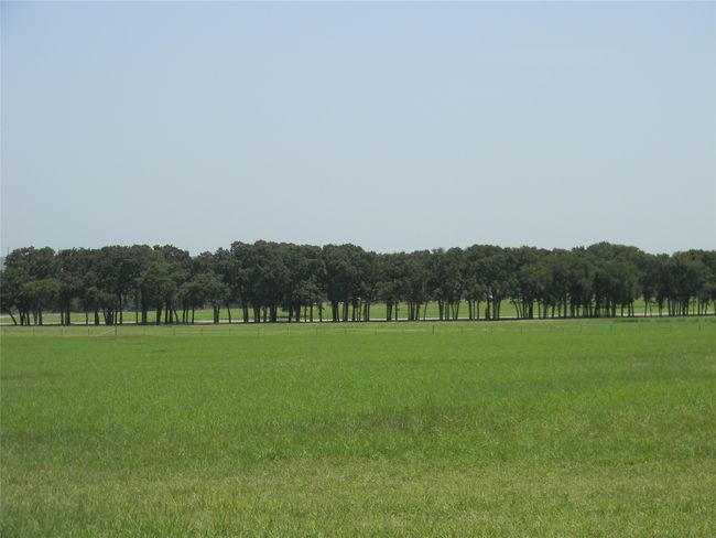 Tree lined entry | Image 6