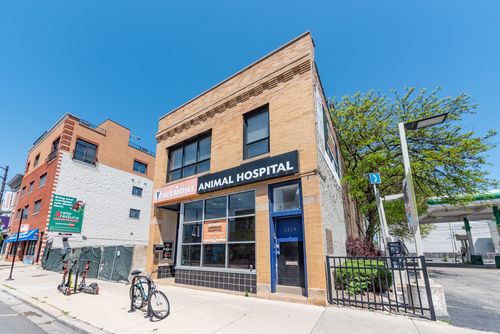 2s-1214 W Belmont Avenue, Chicago, IL, 60657 | Card Image