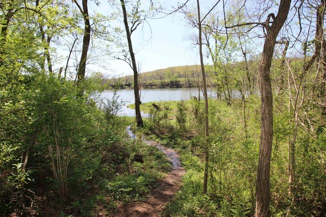 361 Rim Shoals Ln, House other with 2 bedrooms, 1 bathrooms and null parking in Mountain Home AR | Image 5