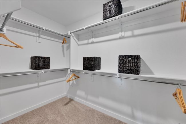 Walk in closet with carpet | Image 21