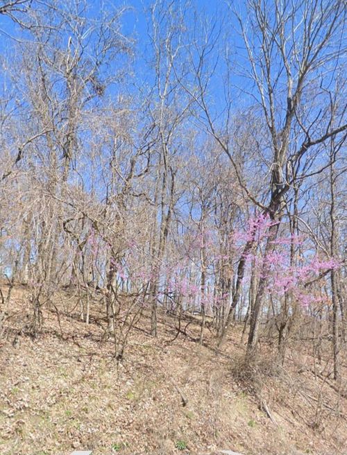 5.16 Acres Summit Drive, Holiday Island, AR, 72631 | Card Image