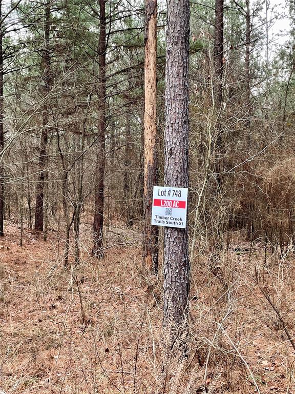 Land in Broken Bow 3