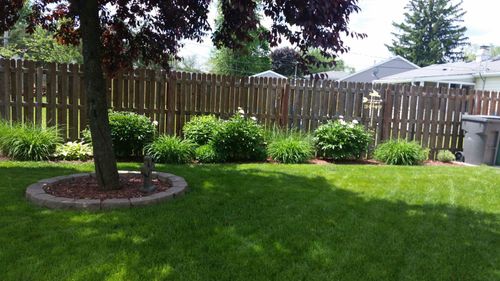533 Glen Ave, Romeoville, IL, 60446-1210 | Card Image