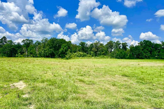 02 Carrier Rd, Home with 0 bedrooms, 0 bathrooms and null parking in Pine Grove LA | Image 6
