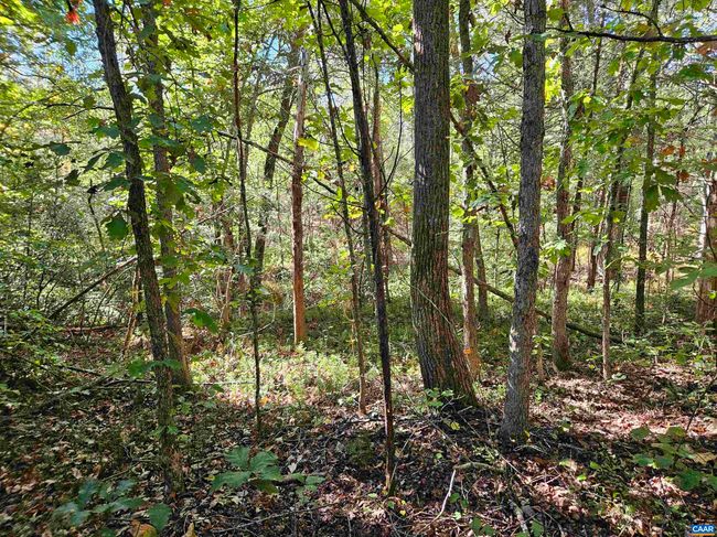 10239 Howardsville Rd, House other with 2 bedrooms, 1 bathrooms and null parking in HOWARDSVILLE VA | Image 40