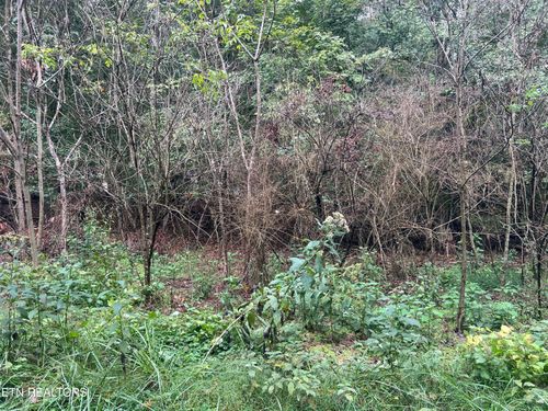 30 Ridge Dr, Kingston, TN, 37763 | Card Image