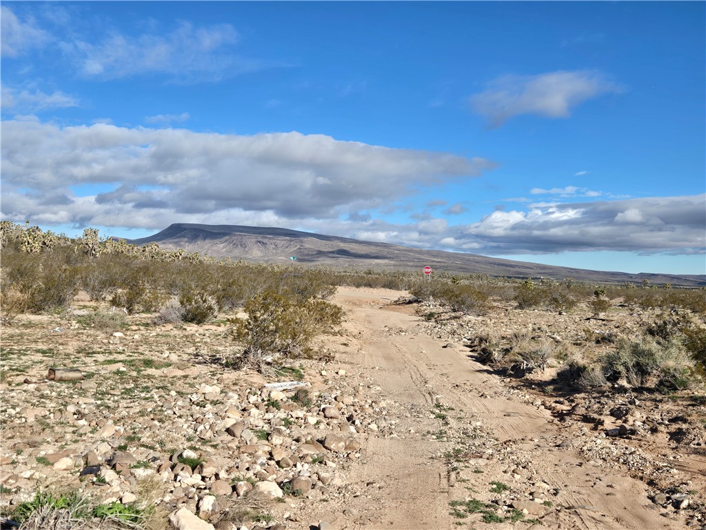 Land in Dolan Springs 3
