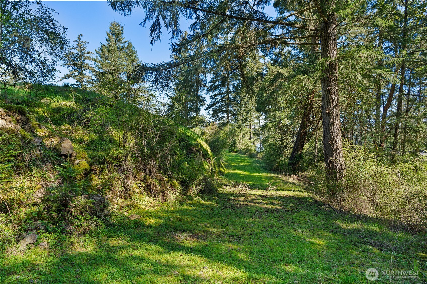 Land in Friday Harbor 4