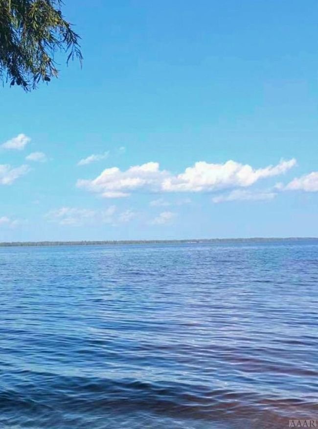 239 Chowan Shores Dr, Home with 0 bedrooms, 0 bathrooms and null parking in Colerain NC | Image 4