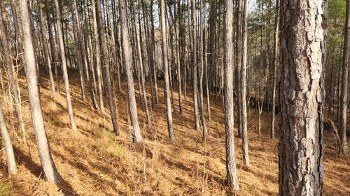 912 Whistler Ln, Canton, GA, 30114-4263 | Card Image