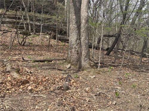 Lot 35 Dogwood Dr, Garfield, AR, 72732 | Card Image