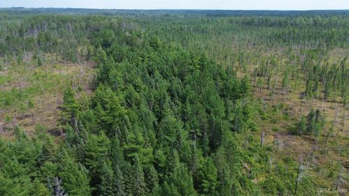 9040 Bone Lake Route, Newberry, MI, 49868 | Card Image