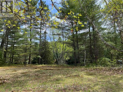 lot 37 Sandy Shores Trail, Madawaska Valley, ON, K0J1B0 | Card Image