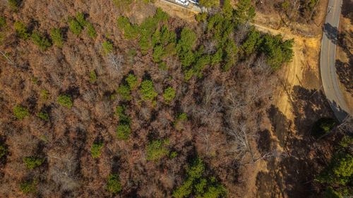 Tract 76 Aj Lewis Drive, Sherwood, AR, 72120 | Card Image