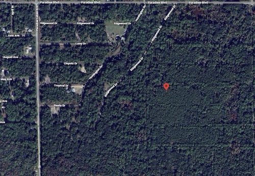 307 Tropical Dr, Georgetown, FL, 32139 | Card Image