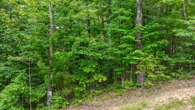 Lot 542 Wilderness Way | Image 3