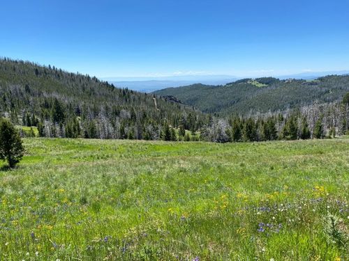 4746 Indian Creek Rd, Townsend, MT, 59644 | Card Image