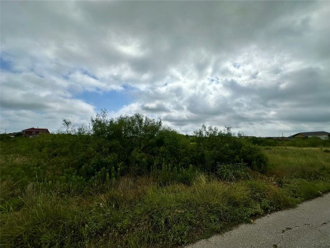 View of undeveloped land | Image 4