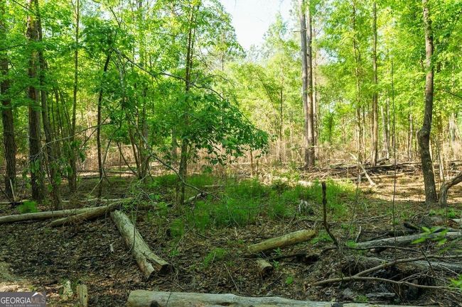 6053 Sun Hill Grange Rd, Home with 0 bedrooms, 0 bathrooms and null parking in Davisboro GA | Image 23