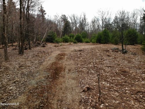 10 Mountain Rd, Mt Washington, MA, 01258-9736 | Card Image