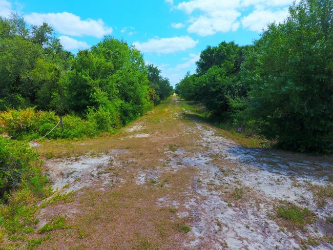 19998 Nw 286 Th St, Home with 0 bedrooms, 0 bathrooms and null parking in Okeechobee FL | Image 9