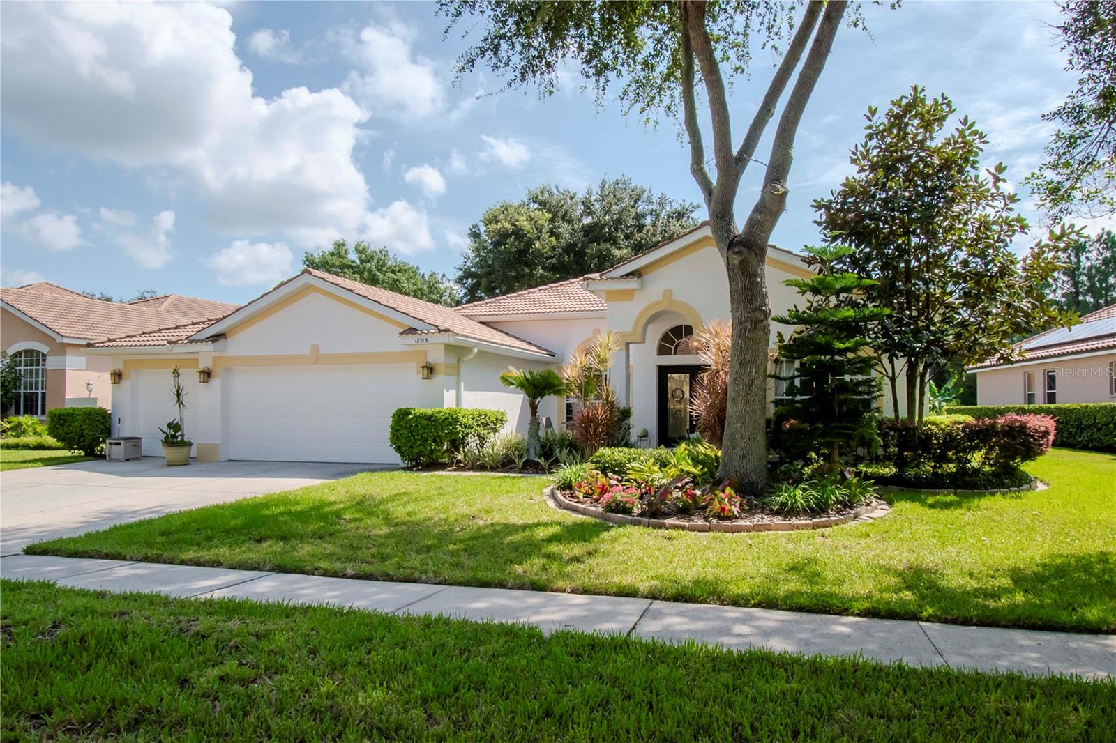 Avalon Ln, Tampa, FL 33647