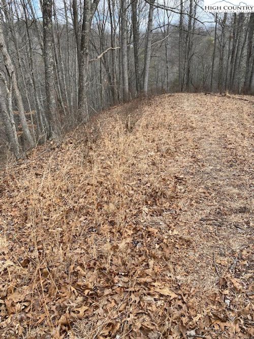 Lot 56 Happy Eden Drive, Piney Creek, NC, 28663 | Card Image
