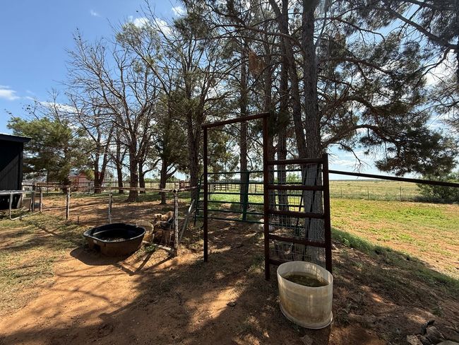 447 W Fm 1606, House other with 3 bedrooms, 2 bathrooms and 2 parking in Ira TX | Image 30