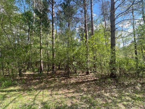 Lots 4 &amp; 5 S Czech Lane, Preston, WI, 53934 | Card Image