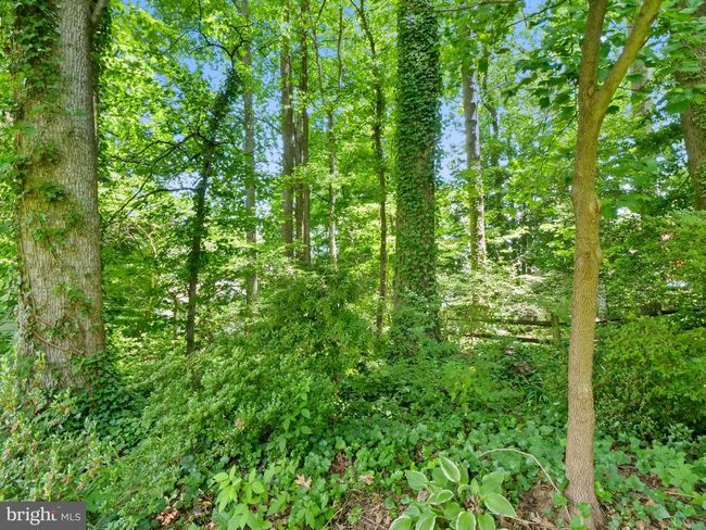 9228 Lake Braddock Dr, House other with 5 bedrooms, 4 bathrooms and null parking in BURKE VA | Image 42