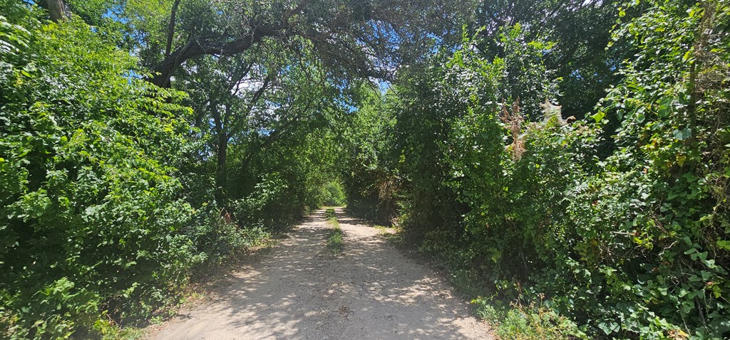 Land in Kerrville 5