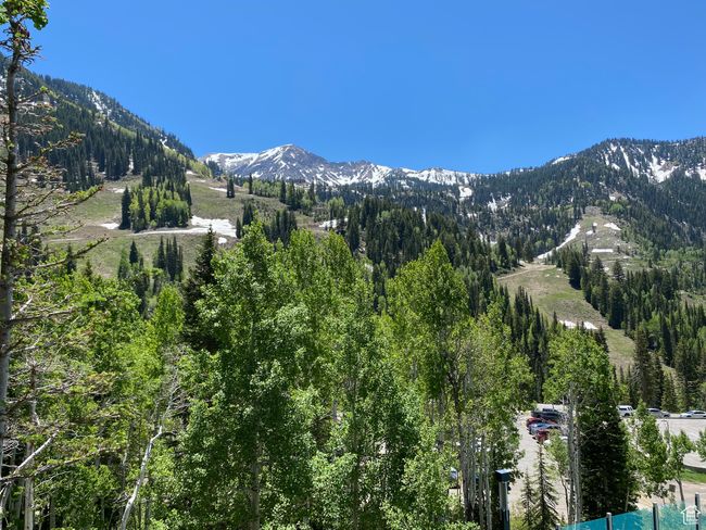 Fantastic Views | Image 10