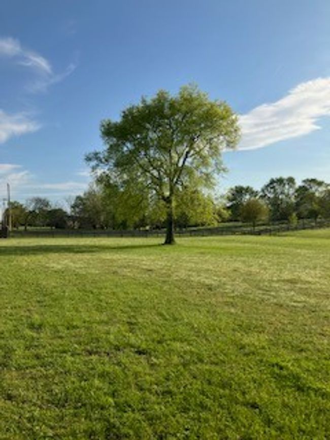 level, pasture land | Image 14