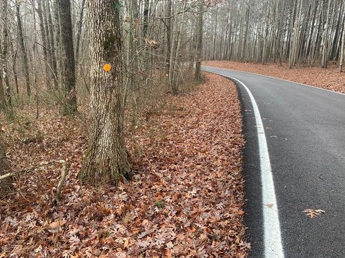 1.4 acre Hillis Cemetery Road, Spencer, TN, 38585 | Card Image