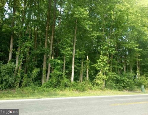 12374 Galena Rd, MASSEY, MD, 21650-1611 | Card Image