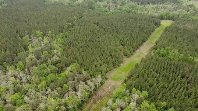DJI_0695 | Image 6