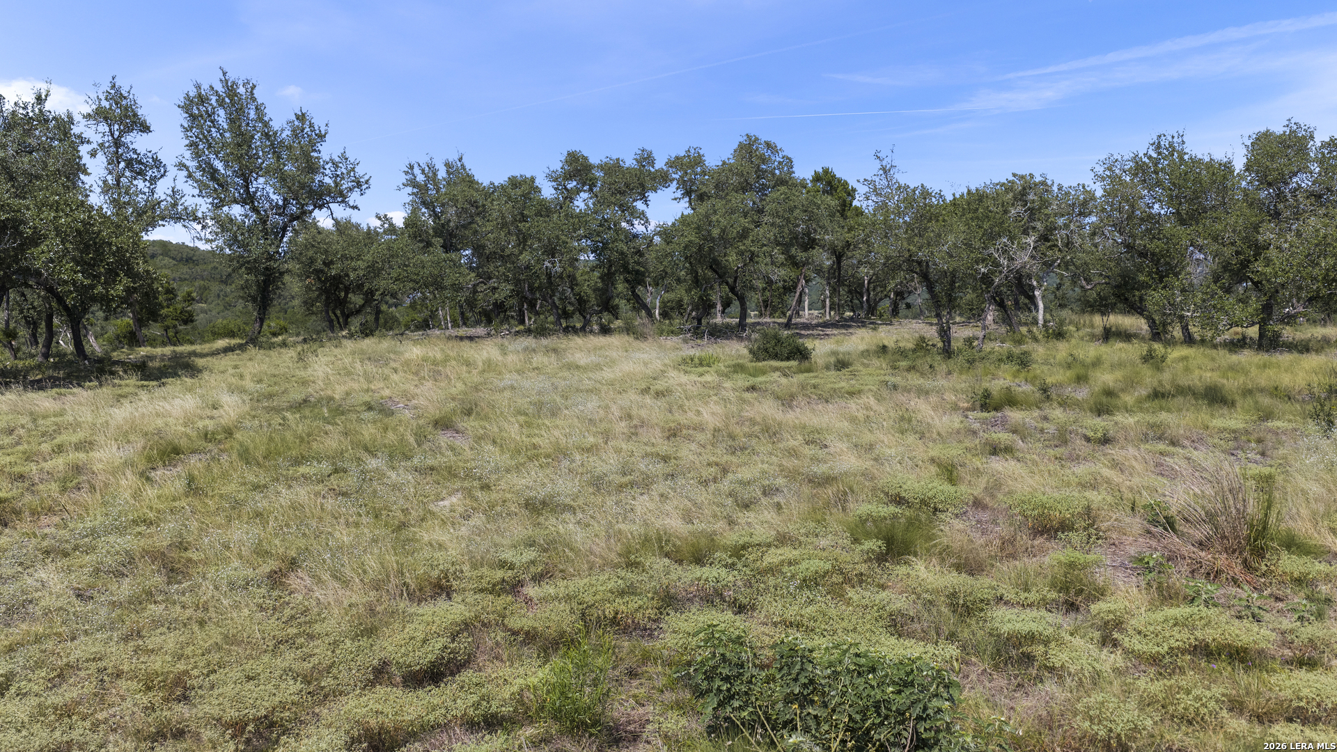 Land in Spring Branch 2