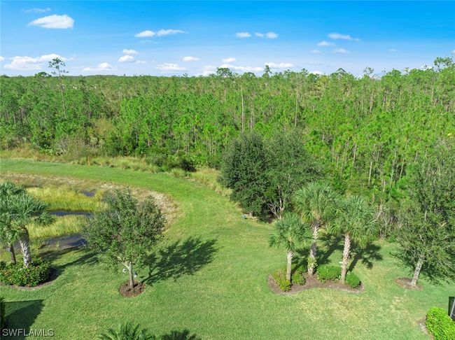 20506 Black Tree Ln, House other with 3 bedrooms, 3 bathrooms and null parking in ESTERO FL | Image 37