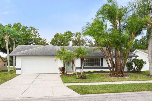 12913 Astorwood Pl, RIVERVIEW, FL, 33579-7029 | Card Image