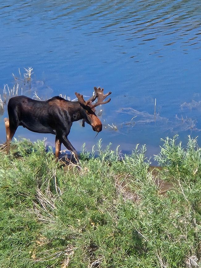 Red Creek Reservoir down the road! | Image 6