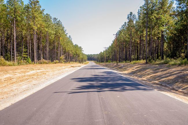 Drive through paved roads surrounded by beautiful, mature trees | Image 6