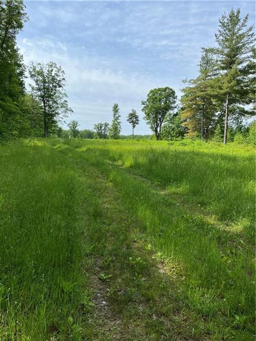 81 acres Pinnow Road, THORNAPPLE, WI, 54819 | Card Image