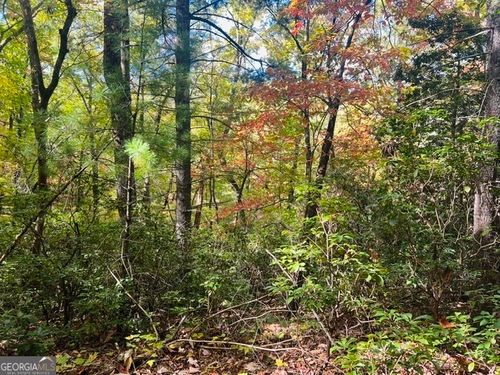 5.47AC Cindy Cove Lots 13-15, Blairsville, GA, 30512 | Card Image