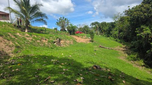 Bo. Las Palmas Carr. 140 Int, Ent. Los Ramos Sector Laf, Utuado, PR, 00641 | Card Image